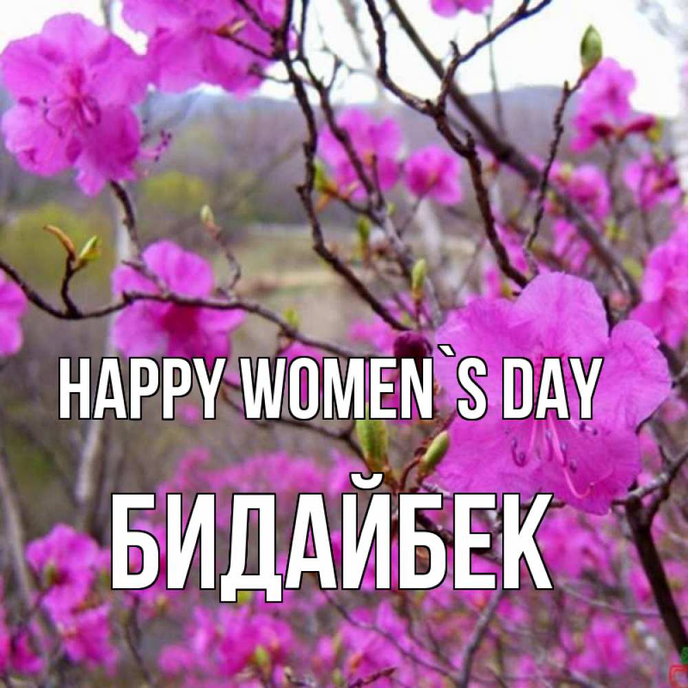 Greetings card с именем, Бидайбек happy women`s day международный женский день Greetings with text for free download 